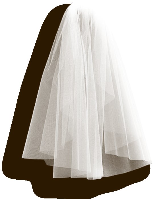 Прозрачная вуаль