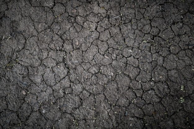 Текстура земли