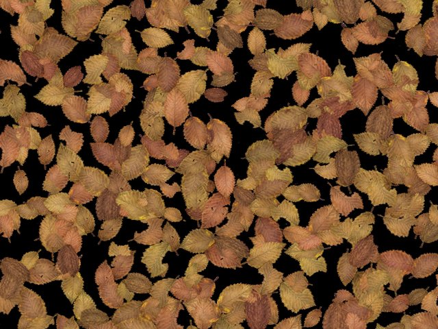 Текстура опавшей листвы