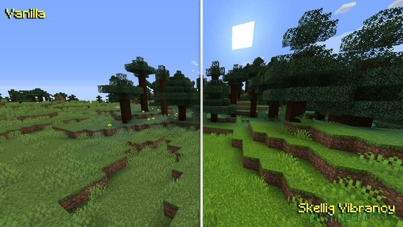 Текстур пак 1.19.2