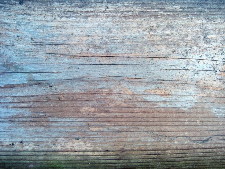 Фактура дерева