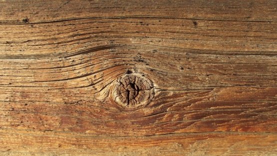 Фактура дерева