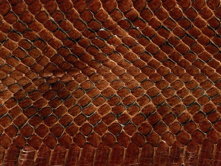 Dragon Skin – «шкура дракона»
