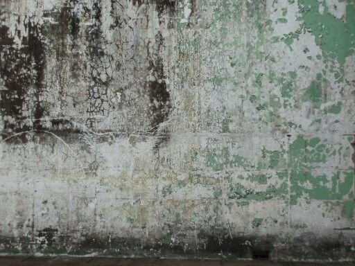 Бетонная стена