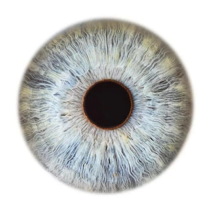 Серая радужка глаз