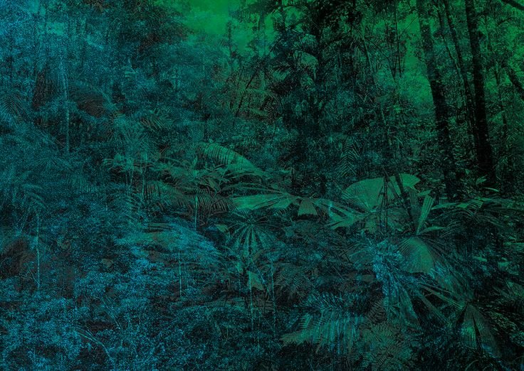 Фон джунгли