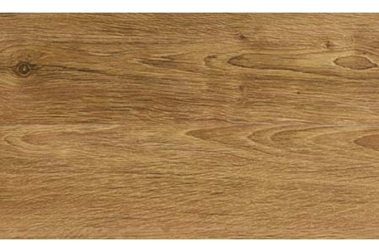 Дуб шотландский Слотекс