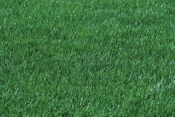 Текстура трава архикад