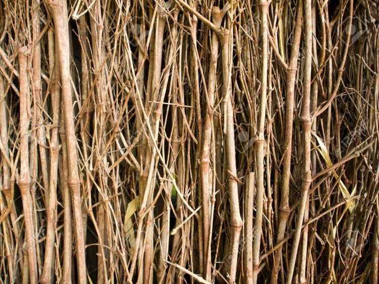 Прутья текстура