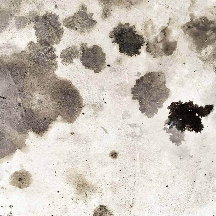 Пятна грязи