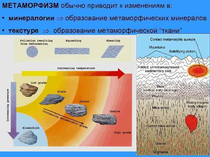 метаморфических образований