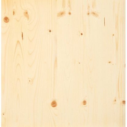 Липа текстура древесины