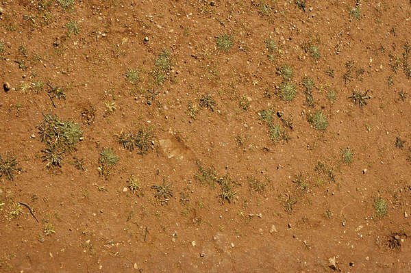 Текстуры земли для 3ds Max