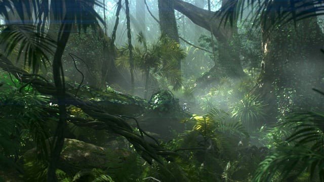 Джунгли акапал Геншин