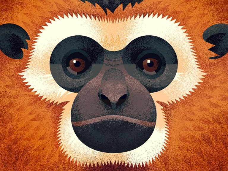 Обезьяна арт
