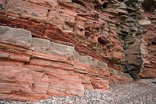 Терригенные осадочные породы