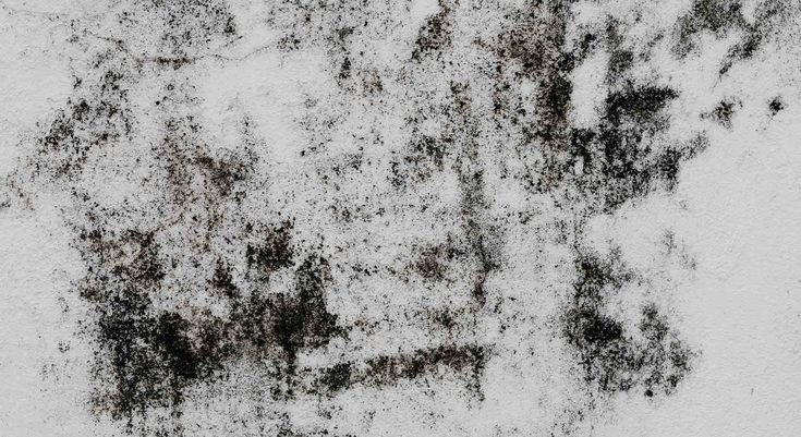 Текстура грязи