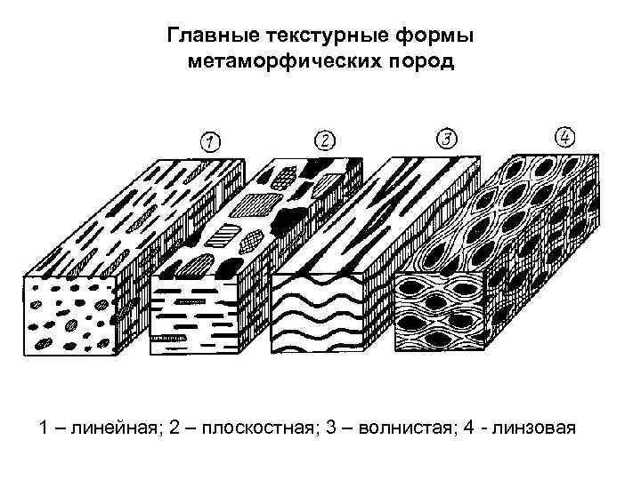 Формы залегания метаморфических горных пород