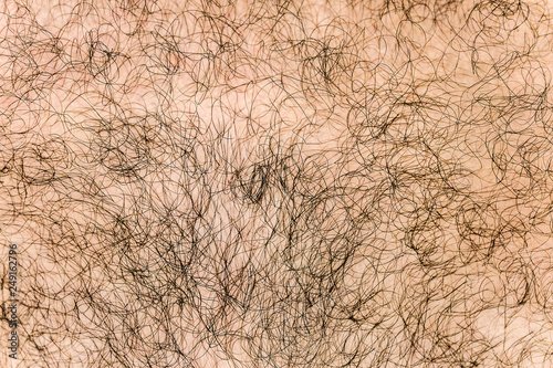 Волоски для фотошопа