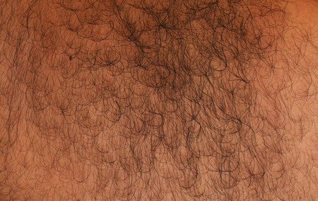 Текстура волосатой кожи