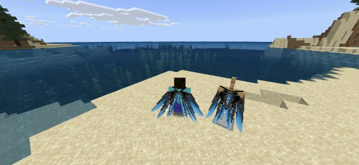 ЭЛИТРЫ дракона