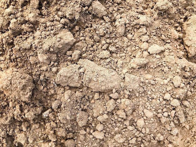 Известняк почва