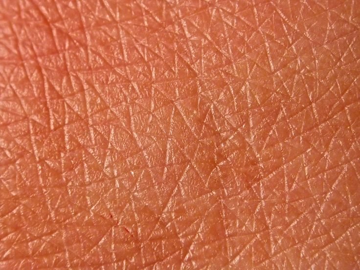 Текстура кожи