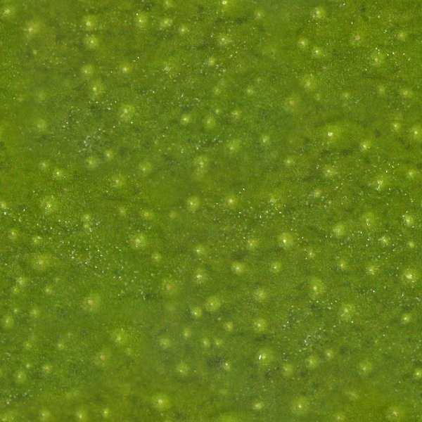 Манго текстура