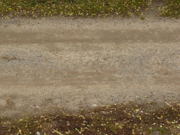 Текстура грунтовой дороги