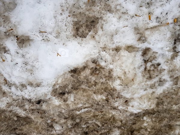 Цвет грязного снега