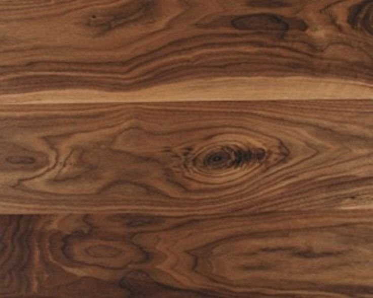 Американский орех тангенциальный