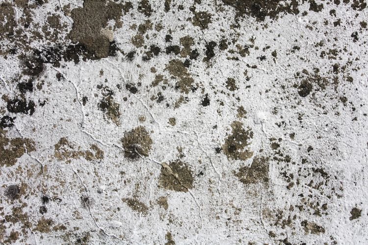 Фактура грязи