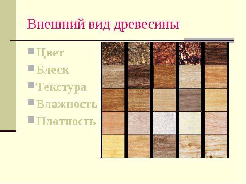 Внешний вид древесины