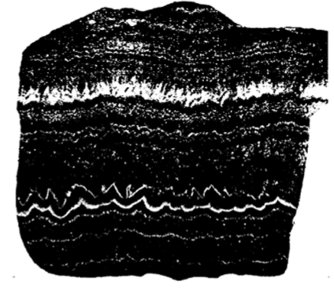 Крустификационная текстура