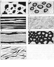 Кокардовая текстура