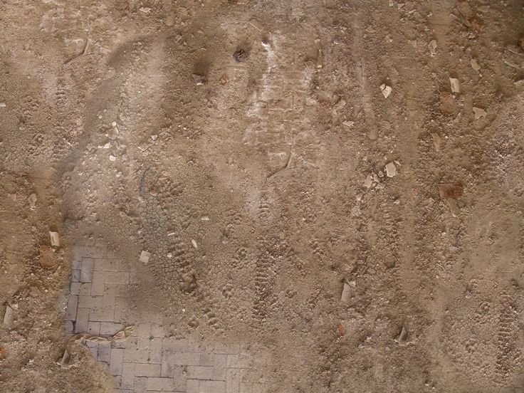 Текстура грунтовой дороги