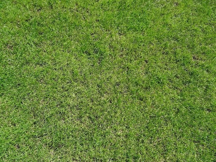 Трава для террейна Юнити