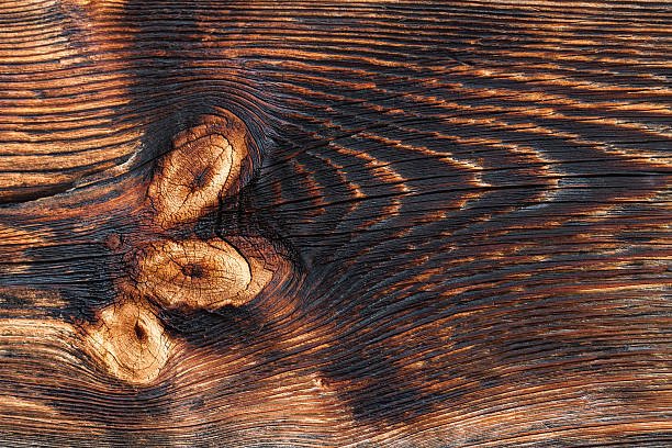 Выжженное дерево фактура