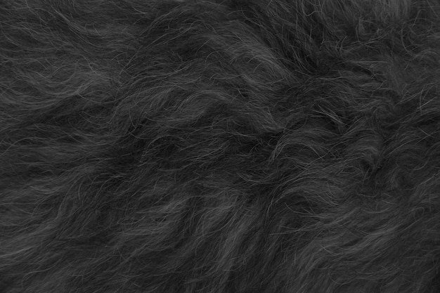 Черная шерсть