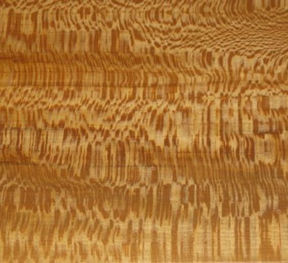 Шпон волнистого клена