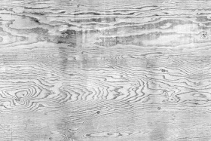 Текстура дерева