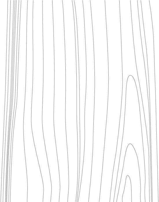 Текстура дерева рисунок