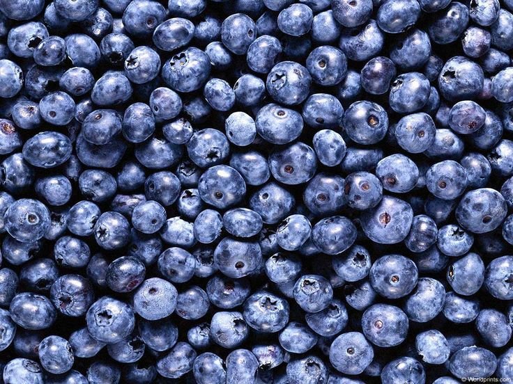 Черника Блуберри