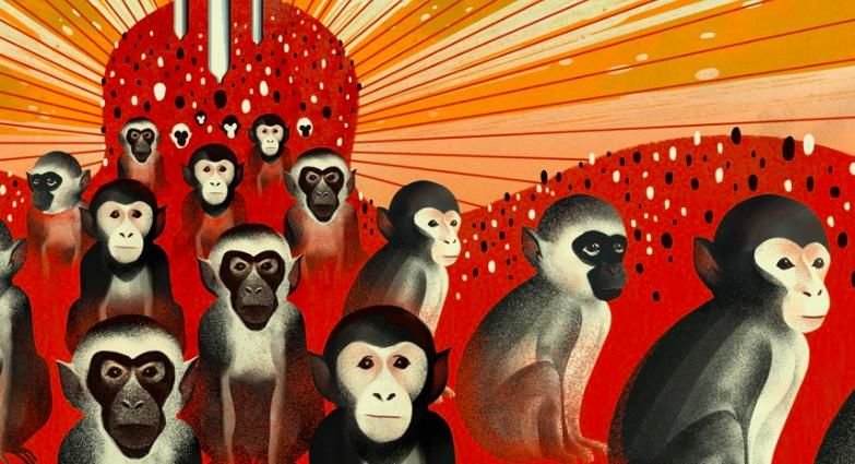 Мартышки фон