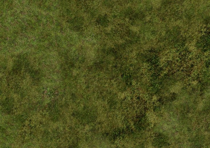 Grass texture бесшовная