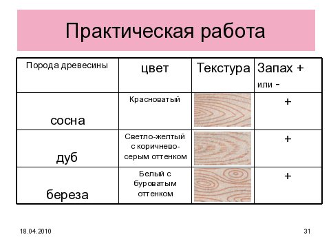 Образцы пород древесины название и свойства