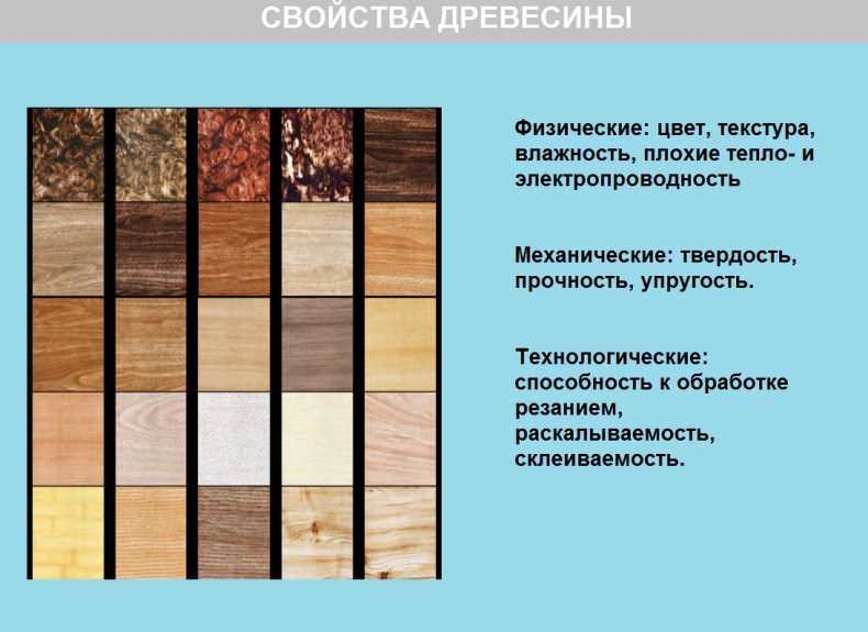 Механические свойства древесины