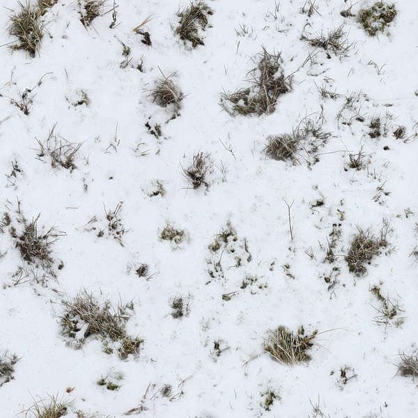 Заснеженная трава текстура