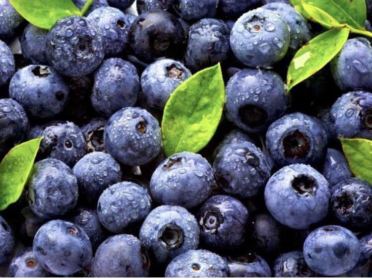 Ягода голубика