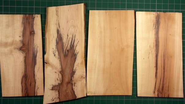 Боярышник однопестичный древесина